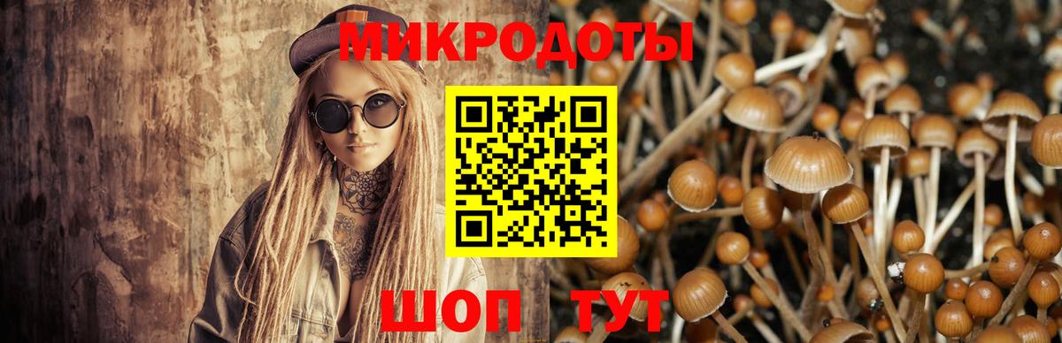 сколько стоит  Галлюциногенные грибы GOLDEN TEACHER  Вход с VPN  Бутурлиновка 
