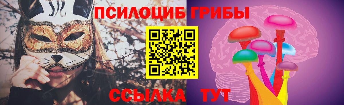 Псилоцибиновые грибы Cubensis Бутурлиновка